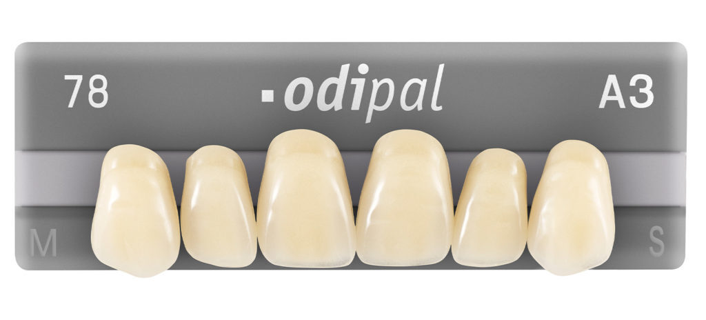 1x6 card of anterior acrylic denture teeth in Odipal brand