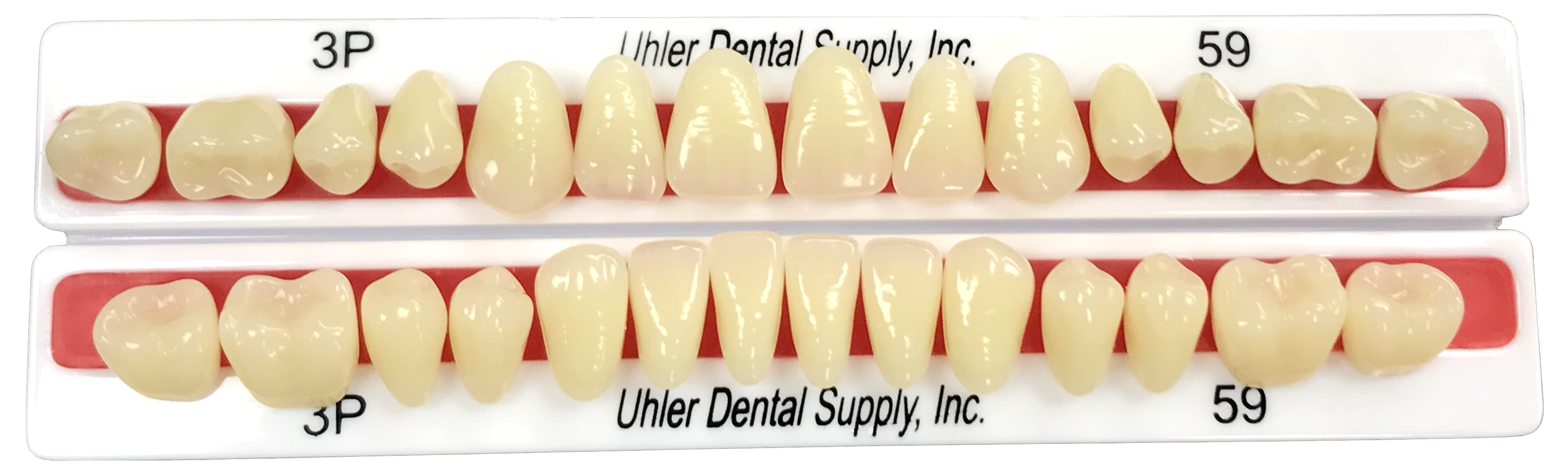 Uhler Brand Acrylic Teeth showing full 28 card