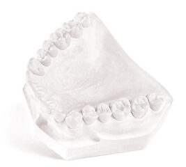 White display model of dental stone