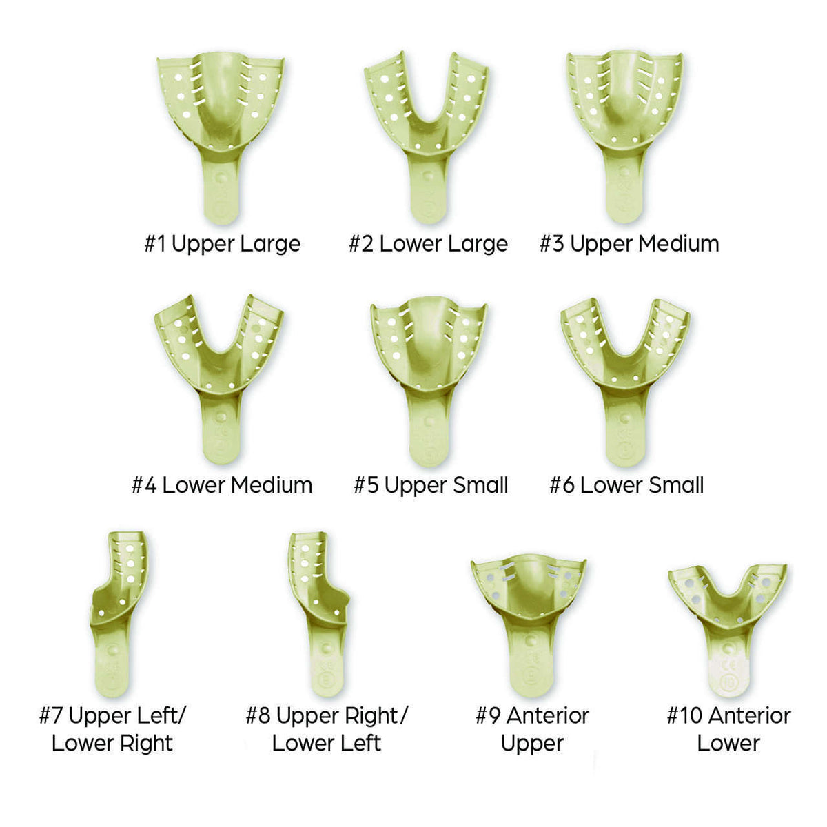 Disposable Impression Trays - 12/pk