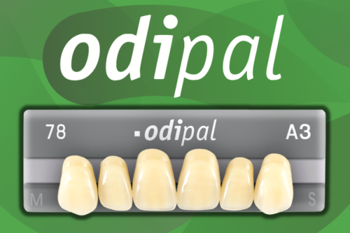 Image for Odipal collection.