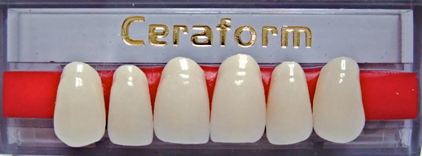 1x6 card of porcelain ceraform denture teeth