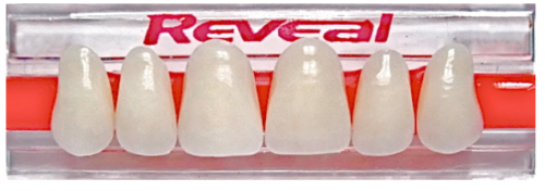 Image for Denture Teeth collection.