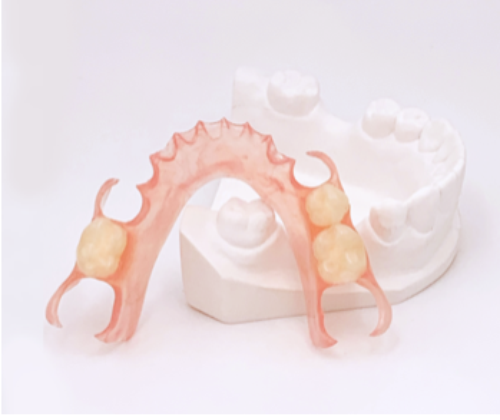 Image for Partial Denture Products collection.