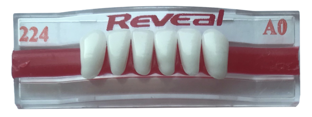 Product photograph of 224 Lower Anterior - A0 Shade