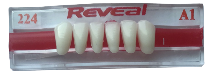 Product photograph of 224 Lower Anterior - A1 Shade