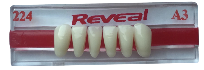 Product photograph of 224 Lower Anterior - A3 Shade