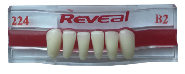 Product photograph of 224 Lower Anterior - B2 Shade