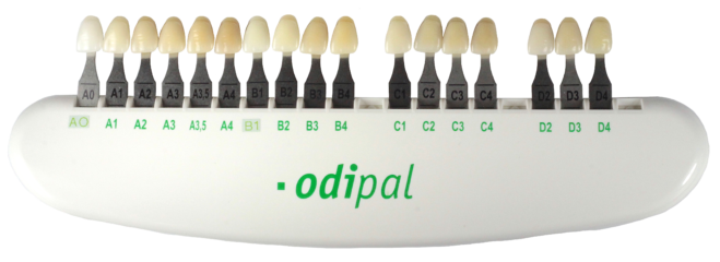 Plastic holder containing shade tabs of Odipal brand acrylic teeth