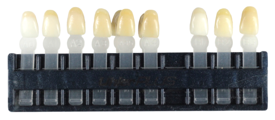 Plastic holder containing shade tabs of UhlerPLUS acrylic teeth