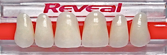 1x6 card of anterior reveal denture teeth