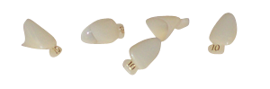Polycarbonate Crowns