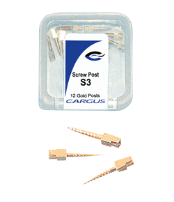 Endodontic Pins and Posts
