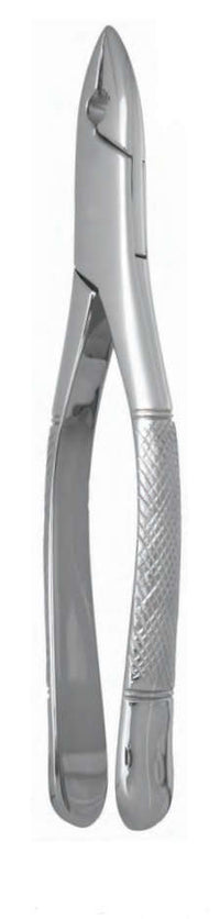 Extracting Forceps