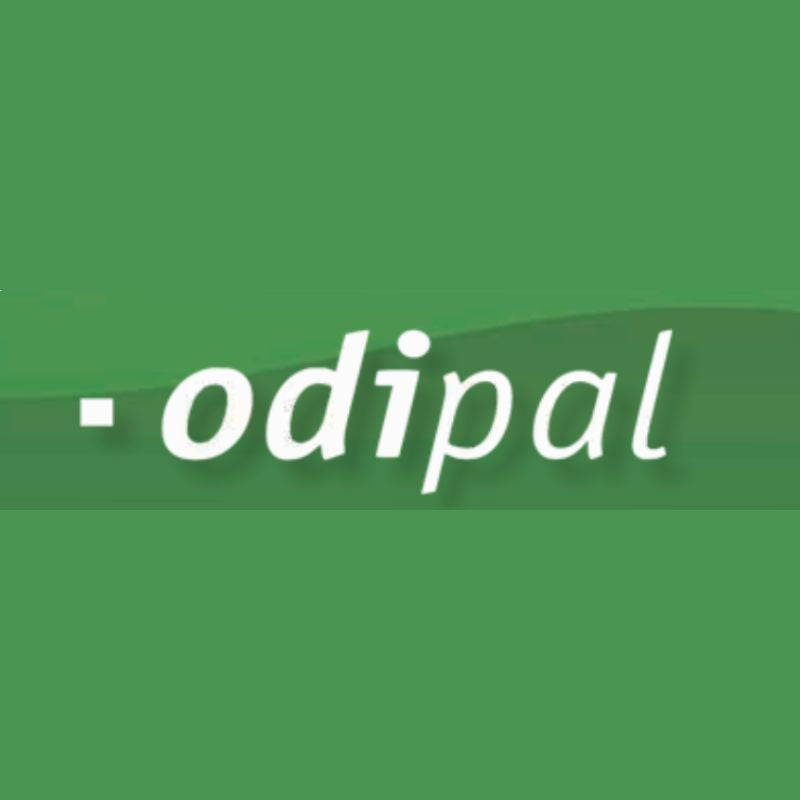 Odipal Acrylic Teeth