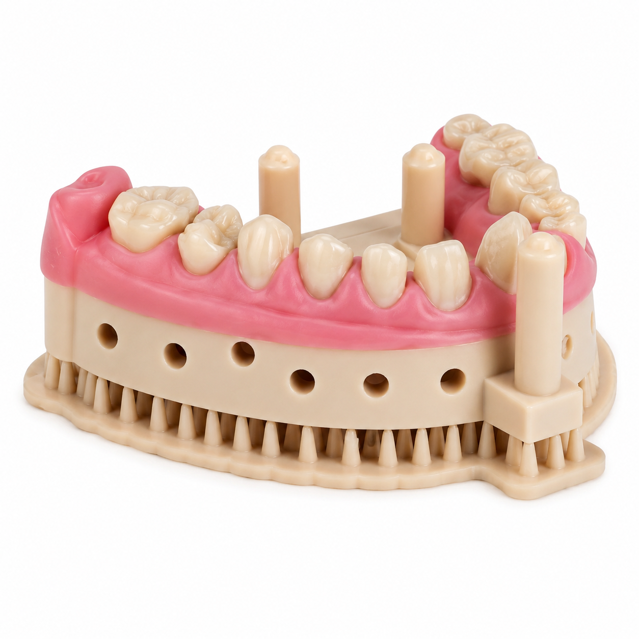 Gingiva 3D Pink Resin-1KG