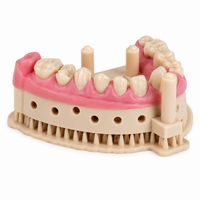 Gingiva 3D Pink Resin-1KG