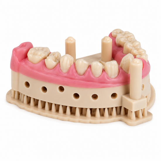 Gingiva 3D Pink Resin-1KG