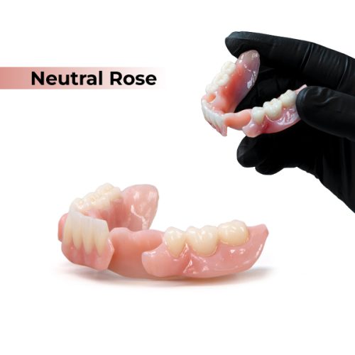 Rodin® BioArch RPD