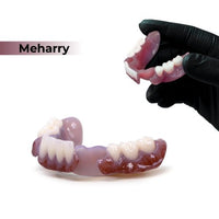 Rodin® BioArch RPD