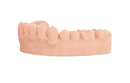 Garreco Print Model 3D