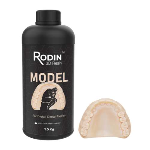 Rodin® Model