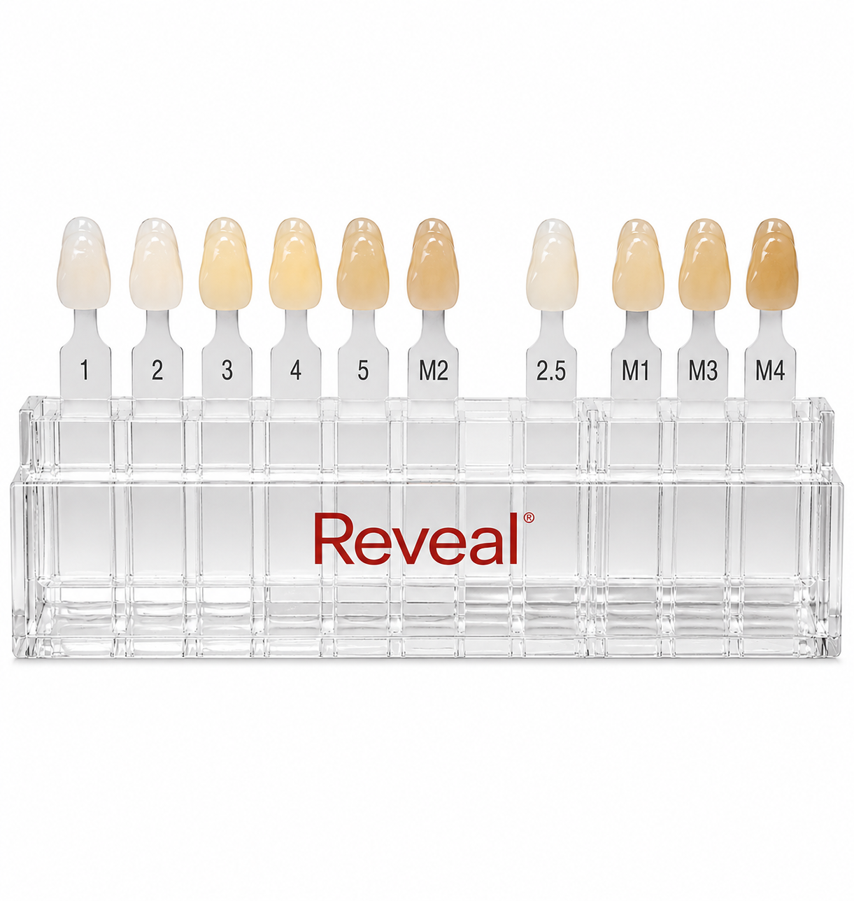 Shade Guide- Reveal