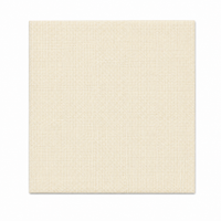 6 x 6 Medium Stainless Steel Mesh